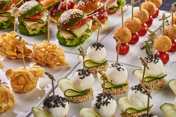 Set of different snack options for a festive table, buffet, a party for the whole family and friends. Croquettes with tomatoes, balls in cornflakes, colorful burgers, cheese balls with cucumber.