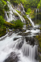 Fototapeta na wymiar Panther Creek Falls in Washington State