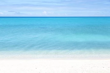 Fototapeten in polynesia  the pink sands of the coastline © lkpro