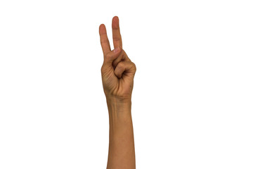 Female hand on a white background shows different gestures. Isolate