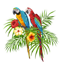 Illustration of macaw parrots.