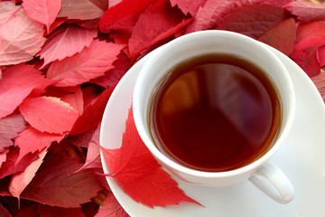 red autumn leaves and a cup of hot tea