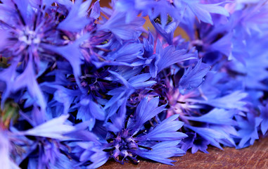 Fototapeta na wymiar background blue flower basil lying on the table