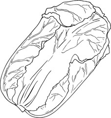 Fresh salad set isolated on white background. Hand drawn vector illustration.