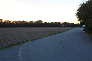 Fototapeta premium Sonnenuntergang auf dem Feld
