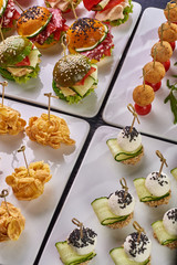 Set of different snack options for a festive table, buffet, a party for the whole family and friends. Croquettes with tomatoes, balls in cornflakes, colorful burgers, cheese balls with cucumber.