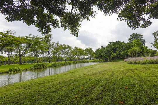 Green beautiful national park and sky in evening