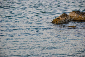 sea water along the coast