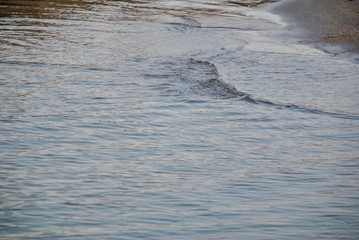 sea water along the coast