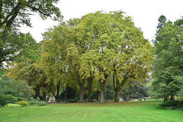 Fototapeta na wymiar Jardin du Luxembourg à Paris, France