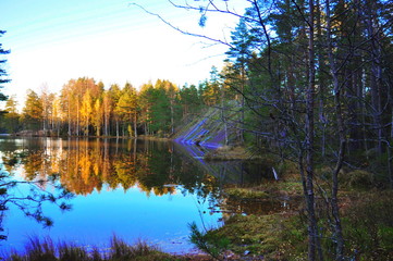 lake in forest