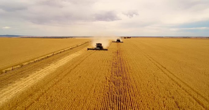 Two harvesters coming down the fence line in Australian wheat