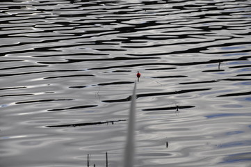 reflection in water