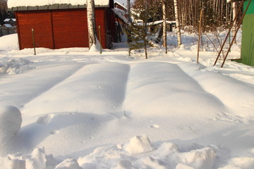 Beds in the garden in the country in the winter under the snow on the background of a wooden brown barn