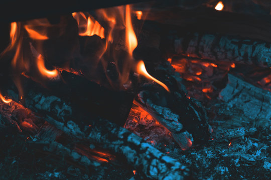 Charred wood in the fire. Burning wood in bright flames in the dark