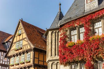 Red ivy on the facade of the town hall of Quedlinburg, Germany