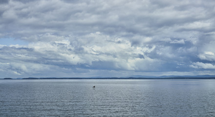 Cloud formation and bird flying over lake 453