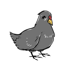 Vector dove isolated on white background. The bird clipart.