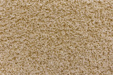 Close-up of the light brown carpet texture background in the meeting room