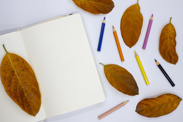 Blank sketchbook page and autumn leaves on white background. Fall season art mockup with white paper notebook.