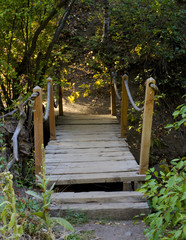 Obraz premium bridge,footbridge,path,rustic,rope,secluded,trees,planks