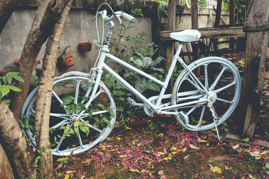 Old bicycle in the garden