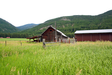 Fototapeta na wymiar Rural Meadow with Red Barn