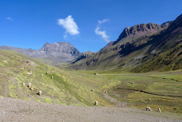 Fototapeta na wymiar Trekking in the Andes