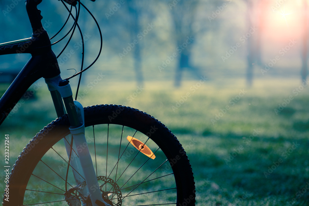 Canvas Prints Bicycle wheel  in the autumn forest.