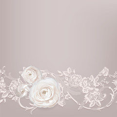 Ranunculus, flowers for your design on lace background