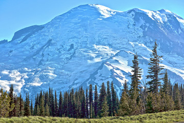 Mount Rainier glaciers