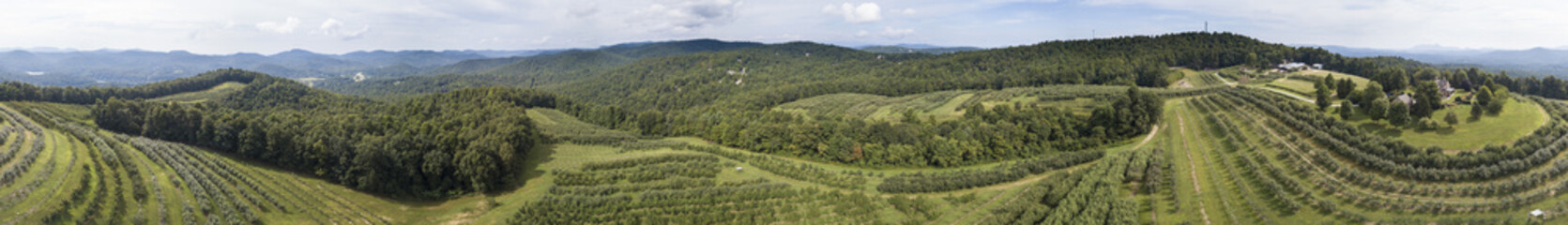 Aerial 360 degree panorama of apple orchards in North Carolina near Asheville.