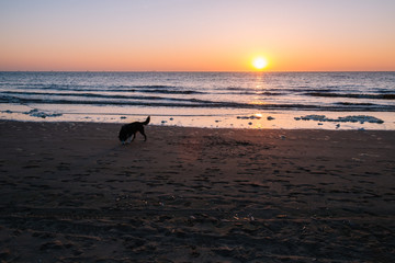 Sonnenuntergang 