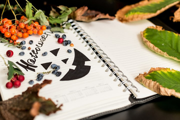 halloween.Notepad for recording with painted black Jack. dry foliage dry berries with empty space