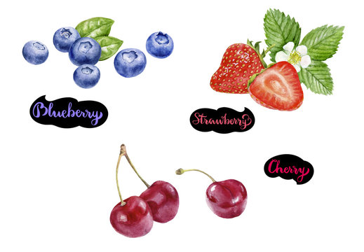 Strawberry blueberry cherry watercolor hand drawn illustration set