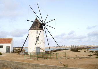 Windmill