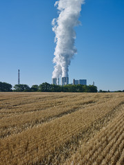 Fototapeta na wymiar Power Plants: View over a mowed field to the cooling towers of a lignite-fired power station with mighty white water vapor columns rising up into the blue sky