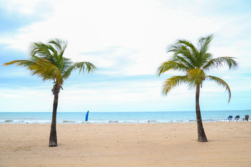 Obraz na płótnie Canvas 2 Palm Trees