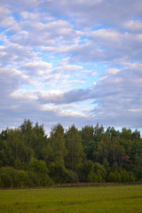 Sky with clouds. Field and forest.