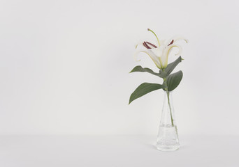 Bouquet of white tulip in vase on table. copy space