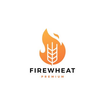 fire wheat logo vector icon design inspirations