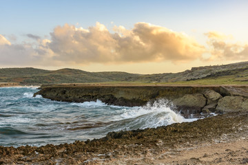 Coastal landscape