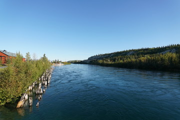 Fototapeta premium Whitehorse,Canada-September 10, 2018: Yukon River flowing in Whitehorse, Canada in September