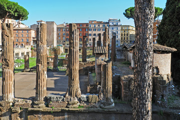 Roma, le rovine di piazza Argentina - foro di Pompeo