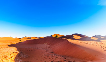 Naklejka na ściany i meble View on desert landscape of the Sahara next to Mhamid in Morocco