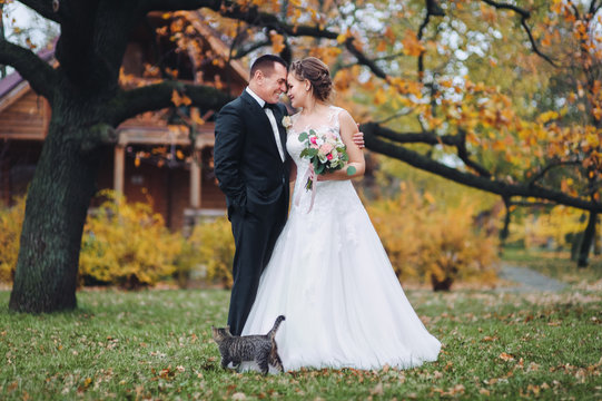 Beautiful newlyweds hugging and smiling against a background of yellow autumn leaves and a tree. Autumn wedding portrait of a stylish bride and cute bride, and a rubbing cat. Merry wedding photo.