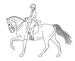 A sketch of a dressage rider on a horse.