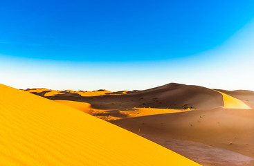 Plakat View on desert landscape of the Sahara next to Mhamid in Morocco