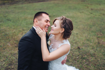 Beautiful and stylish newlyweds are hugging against the background of a green field and forest. A wedding portrait of an adult groom in a black suit and a cute bride in a lavish dress. Wedding.