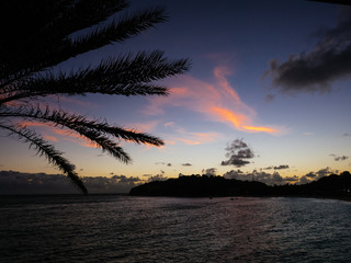 Fototapeta na wymiar Seascape palm tree view
